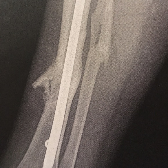 Meet your Posher, Jenn 💙 - Picture 6 of 6